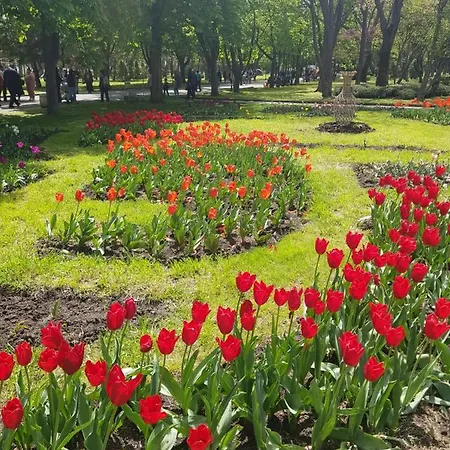 Apartament Апартамент Лазур Burgas