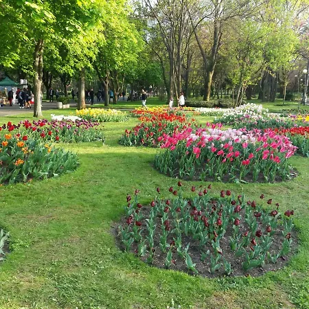 Апартамент Лазур Apartment